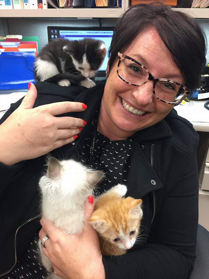 Tracey Duncko seated with cats